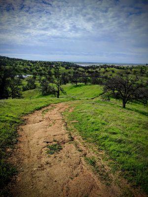 12.19.17. nice hike on Buck Ridge Trail after extensive winter rains