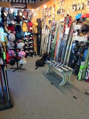 Oly drooling over new skis