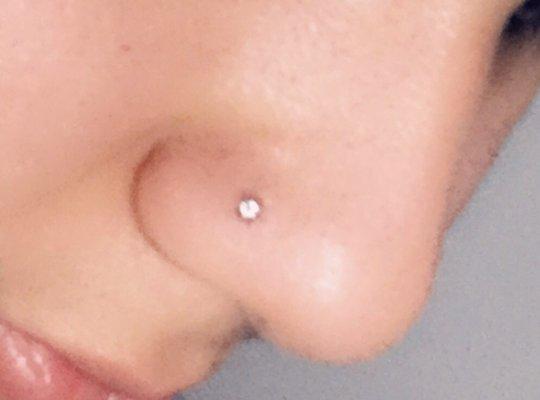 Day 4 of my piercing no soreness or redness and is healing beautifully.