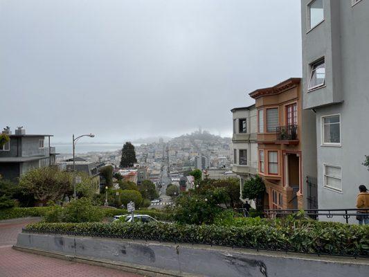 Lombard street view from the top