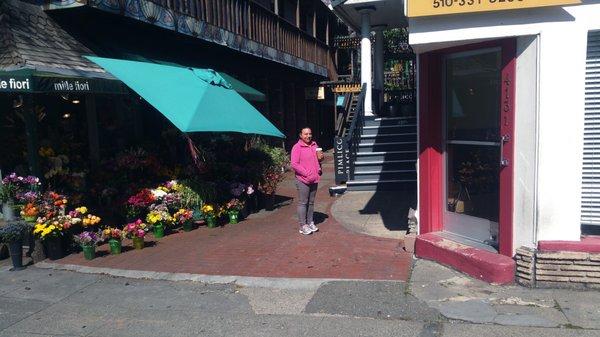 The front of the shop. Up the steps and through the French doors on the left.