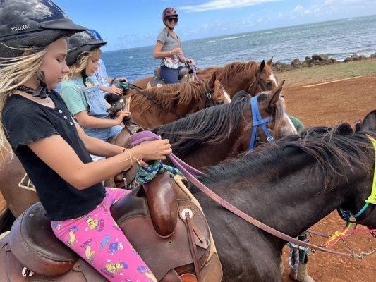 Horseback tour