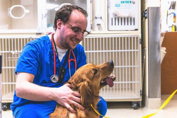 Emergency veterinarian comforting a patient.