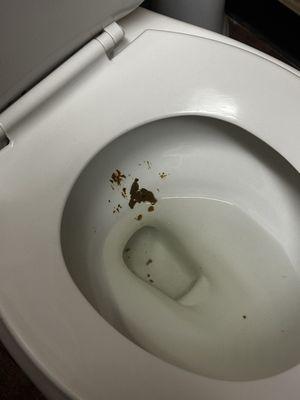 Shit in the toilet