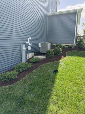 Landscaping to hide the AC unit, once the plants grow in.