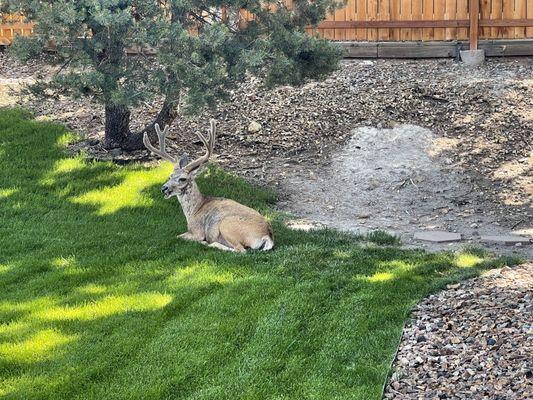 Outside UCHealth PC Rockrimmon-Buck