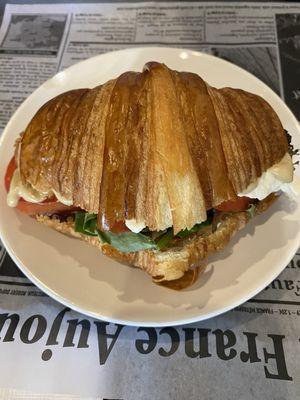 Tomato mozzarella sandwich