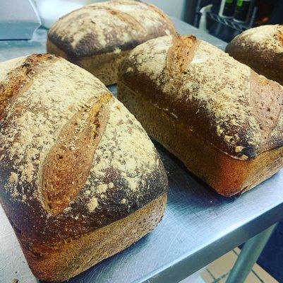 Whole wheat levain (sourdough) loaves