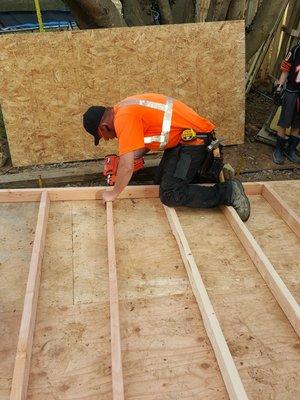 The boss building a oversized she'd and chicken coop / chicken run !! Animals will never get in 100%