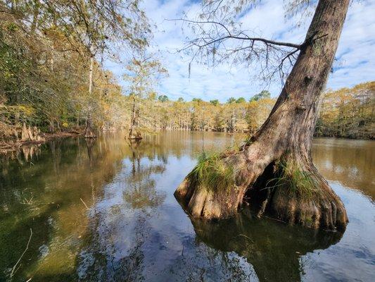 This is the most scenic place in the park. Yup. This is it.