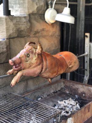 Pig roast!