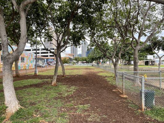 Yikes! What happened to all the grassy areas in the bark park?