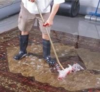 Rug Cleaners Atlanta