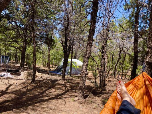 Yes sir! Lots of shade lots of space. Great campground