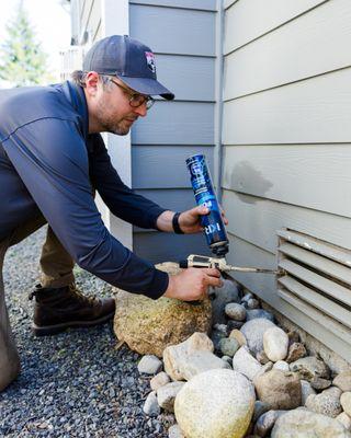 Sealing entry points for rodents!