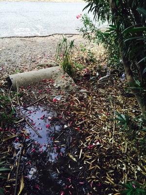 One of their many broken road side pipe leaking many gallons of water while this pump is on.