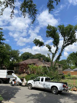 Texas Tree Techs