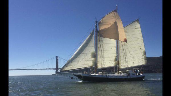 SAIL under the San Francisco Bay bridges with us!