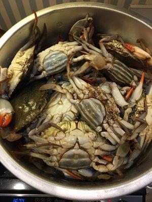 Cooking a huge pot of large Blue Crabs from J C Seafood!!