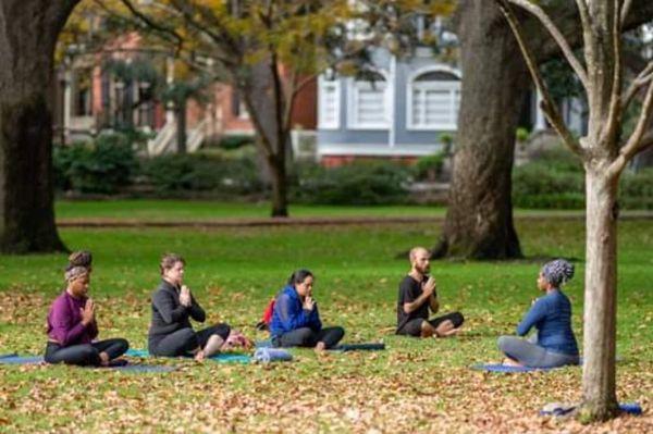 Group yoga