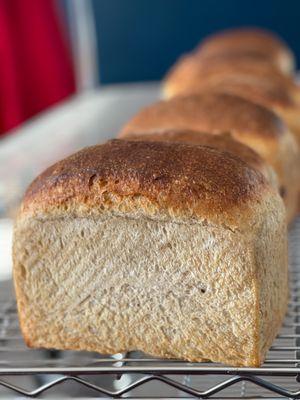 Our Bread baked daily, contains flour, water and salt.