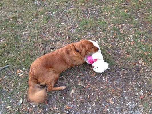 She loved her baby. Take it everywhere!