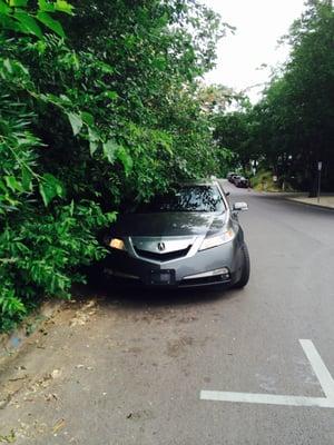 Picture of car and how displaying receipt curbside is useless.