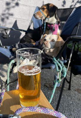 Dog friendly with great beers (offered in three sizes)! Medium size shown.