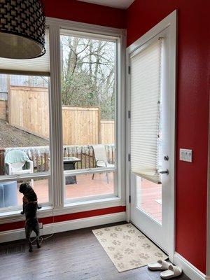 Finished Installation of window! And my pug, approving the completion.