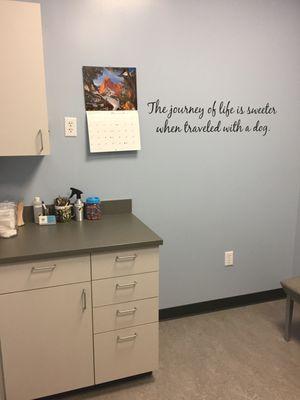 The Mountain exam room.  Notice we do not have exam tables for dogs here.