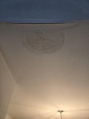 Stain from the leaking ceiling