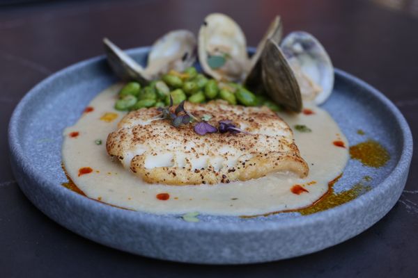 Icelandic Haddock - Pan Seared Coriander Haddock, Little Neck Clams,
 Meyer Lemon Chowder, Edamame Succotash and
 Annatto Oil