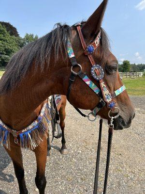 Valley View Riding Stables