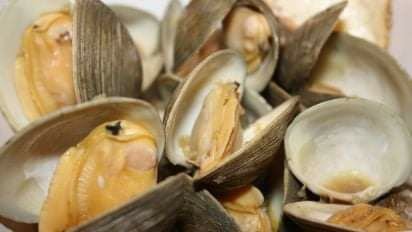 Steamed Clams