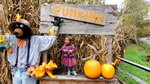 A great local pumpkin patch