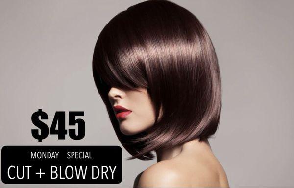 HAIR CUT + BLOW DRY ONLY for $45 every MONDAY