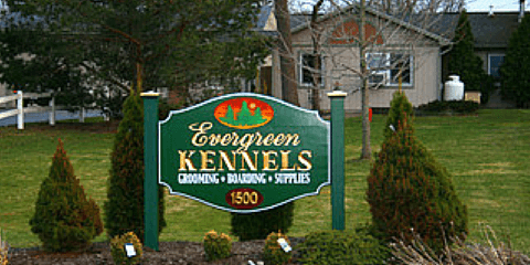 Evergreen Kennels