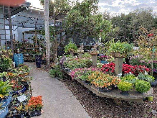 Forever Green Ace Hardware - Garden Center