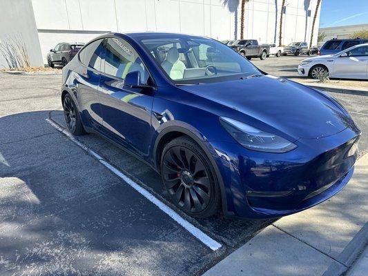 blue model y