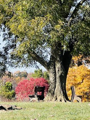 Benches