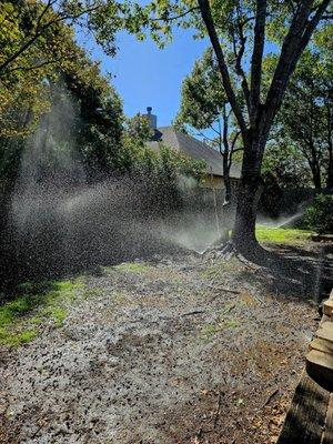 Backyard sprinkler system in use