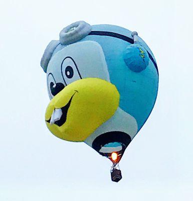 Such fun characters at the hot air balloon festival!