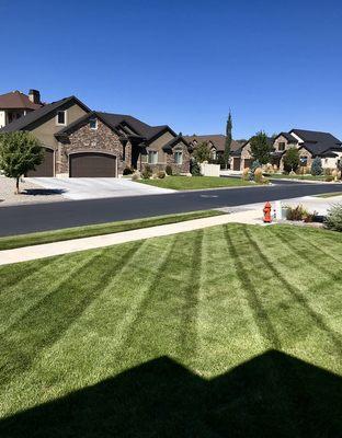 Lawn Maintenance