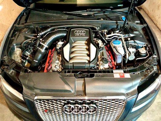 2010 B8 Audi S5 4.2 Supercharged