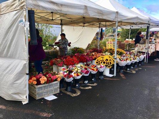 Fresh flowers (esp dahlias!)