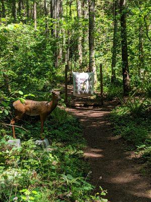 Archery Targets