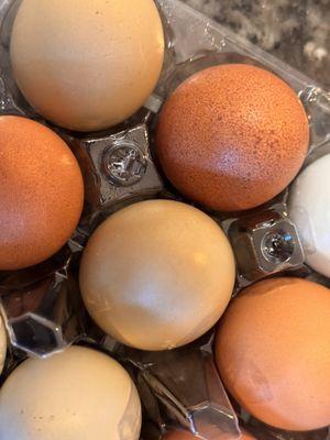 Fresh eggs from the farmers market