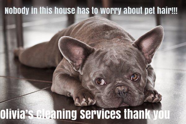 We are pet friendly