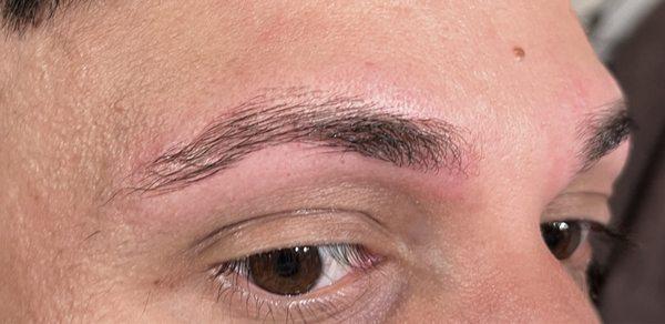 Eyebrows, BAD JOB