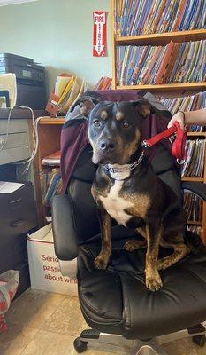 Mia is helping out behind the desk today.